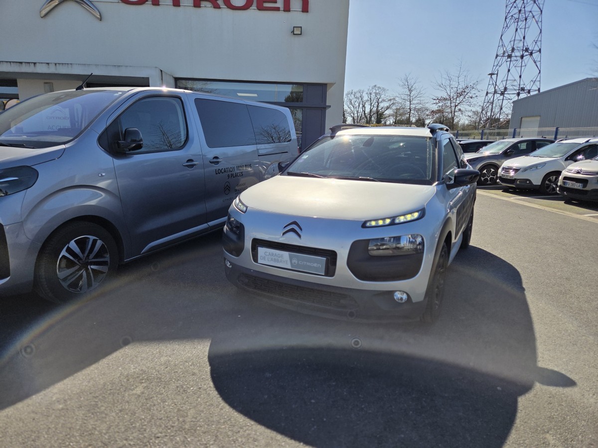 Citroën C4 CACTUS PureTech 110 S&S Feel Business