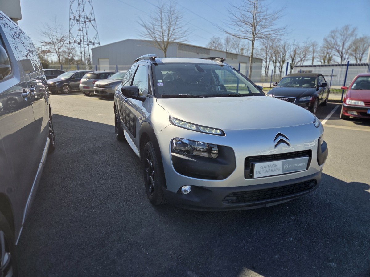 Citroën C4 CACTUS PureTech 110 S&S Feel Business